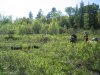Al Buck, Roland, Barry, Tim, Graham 029.jpg