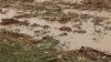 Mud and rain.jpg